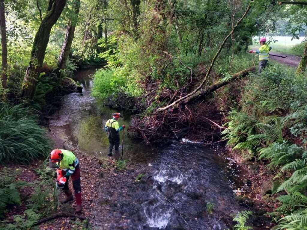 A Xunta realiza labores de conservación fluvial en preto de 11,5 quilómetros de varios ríos nos concellos de Ames e Brión